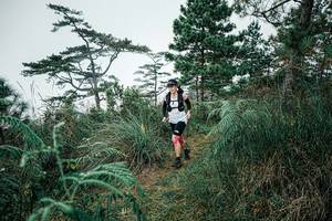 BIB: 
                            <button type="button" onclick="openModal(25259053)" class="btn btn-primary btn-sm float-right btn-popup" data-toggle="modal" data-target=".modal-high-quality">
                        <i class="fas fa-shopping-cart"></i> Add to Cart
                    </button>
                                            <button type="button" onclick="isThisMe(25259053, true)" class="btn btn-success btn-sm float-right btn-popup btn-isme hidden" data-toggle="tooltip" data-placement="bottom" title="นี่คือรูปของคุณใช่ไหม คลิกที่นี่เพื่อเอาเข้าอัลบั้ม">
                        <i class="fas fa-plus"></i> Add to album
                    </button>
                    <button type="button" onclick="isThisMe(25259053, false)" class="btn btn-warning btn-sm float-right btn-popup btn-isnotme hidden">
                        <i class="fas fa-ban"></i> Remove from album
                    </button>